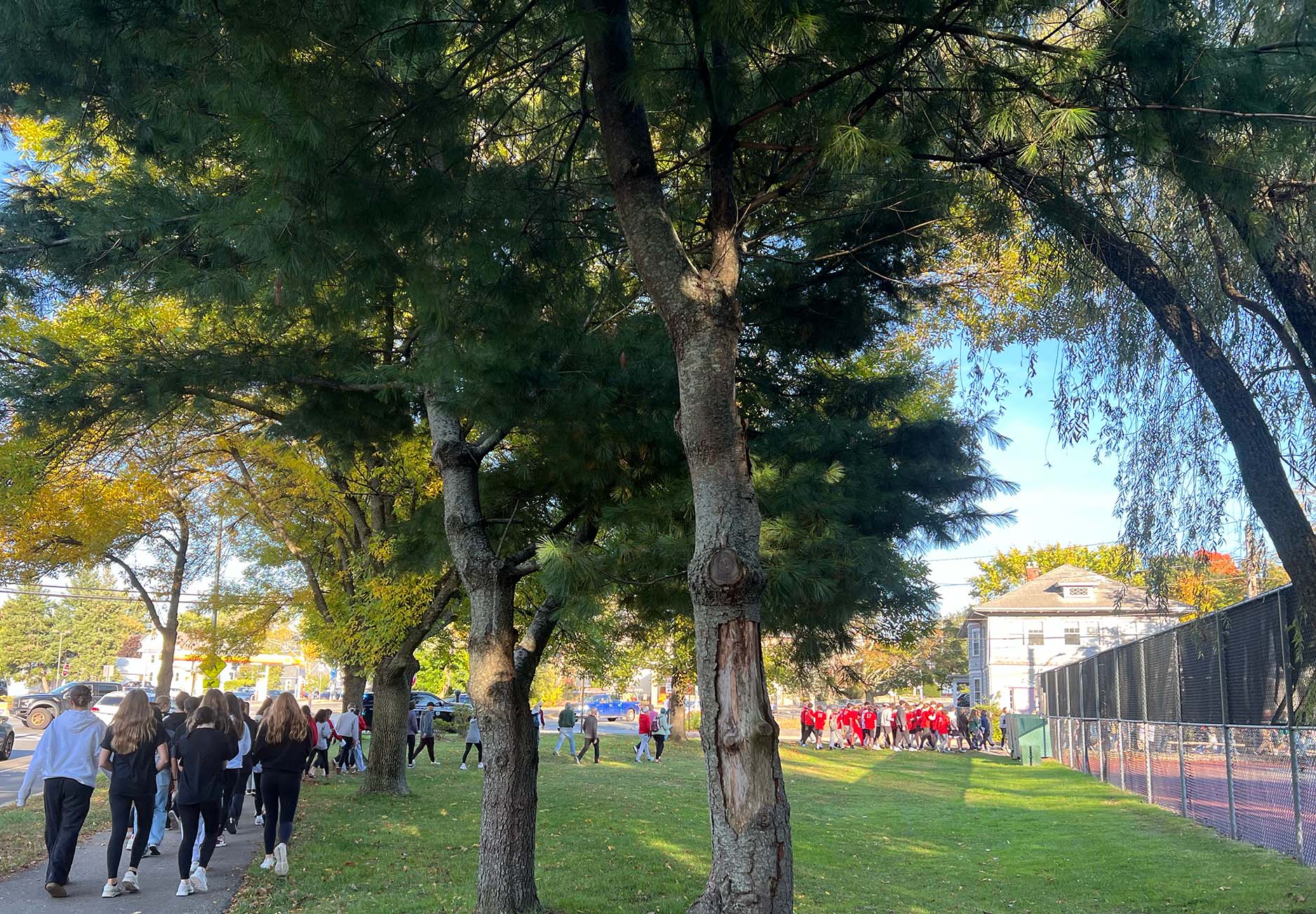 maav walk