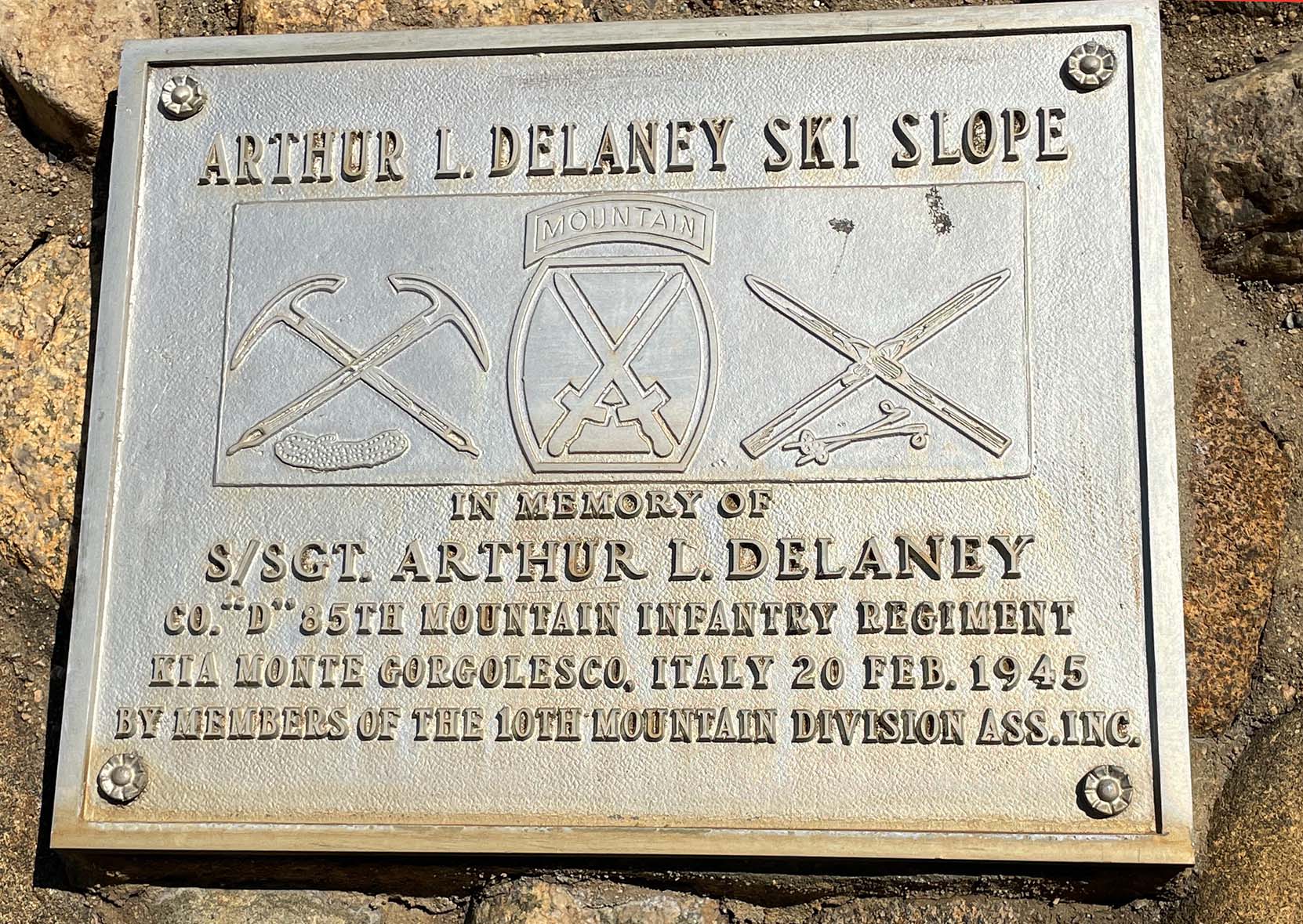 plaque
