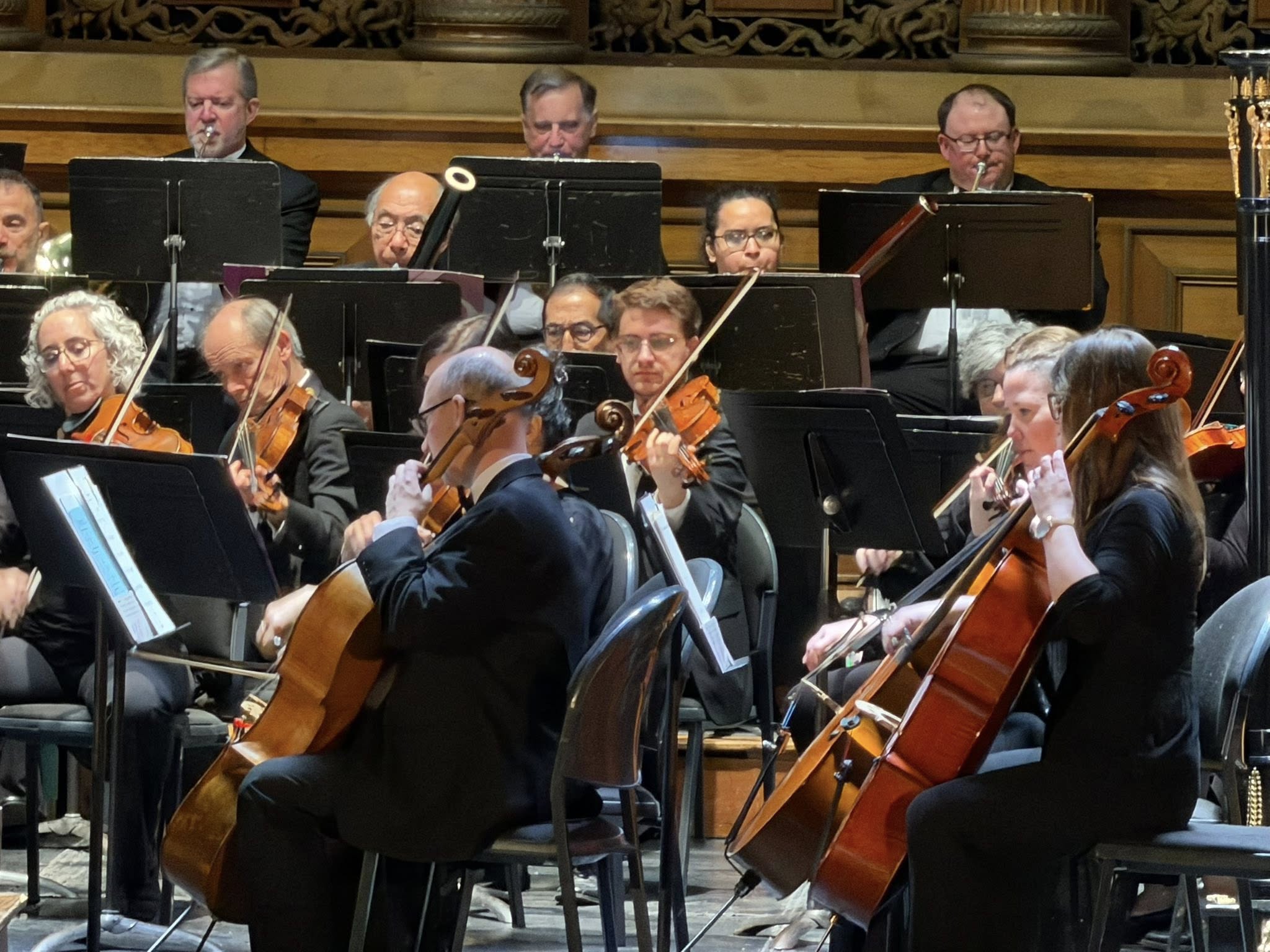 mso